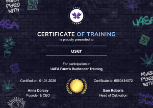 certificate-52